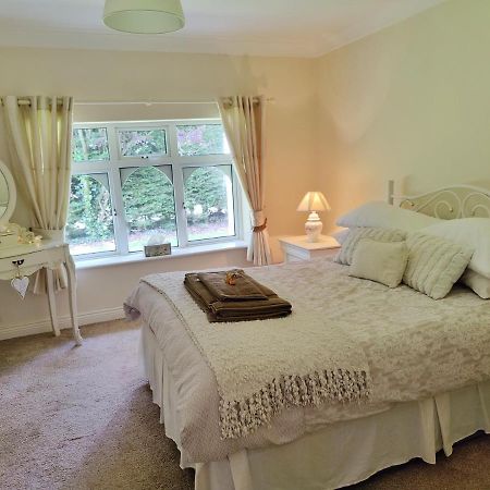 Rooms At Ballysax House The Curragh Экстерьер фото